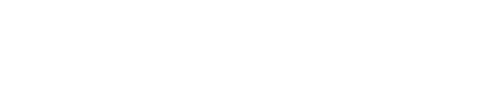 berti logo